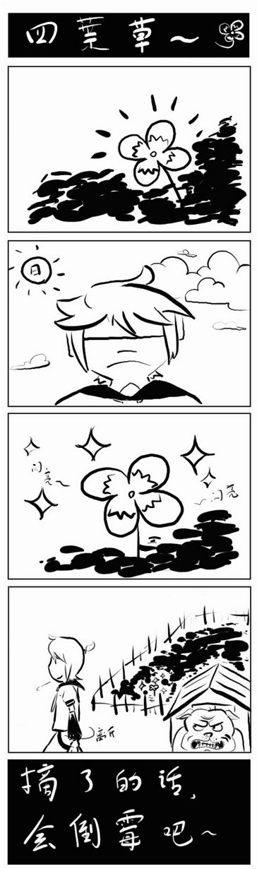 四叶草.jpg