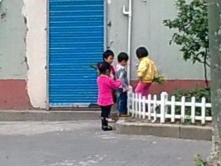 图像0036.jpg