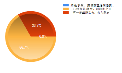 经济独立状况.png