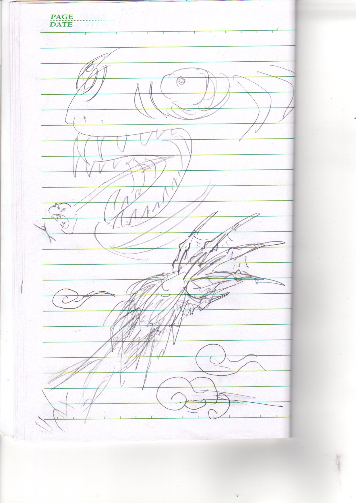0010.jpg