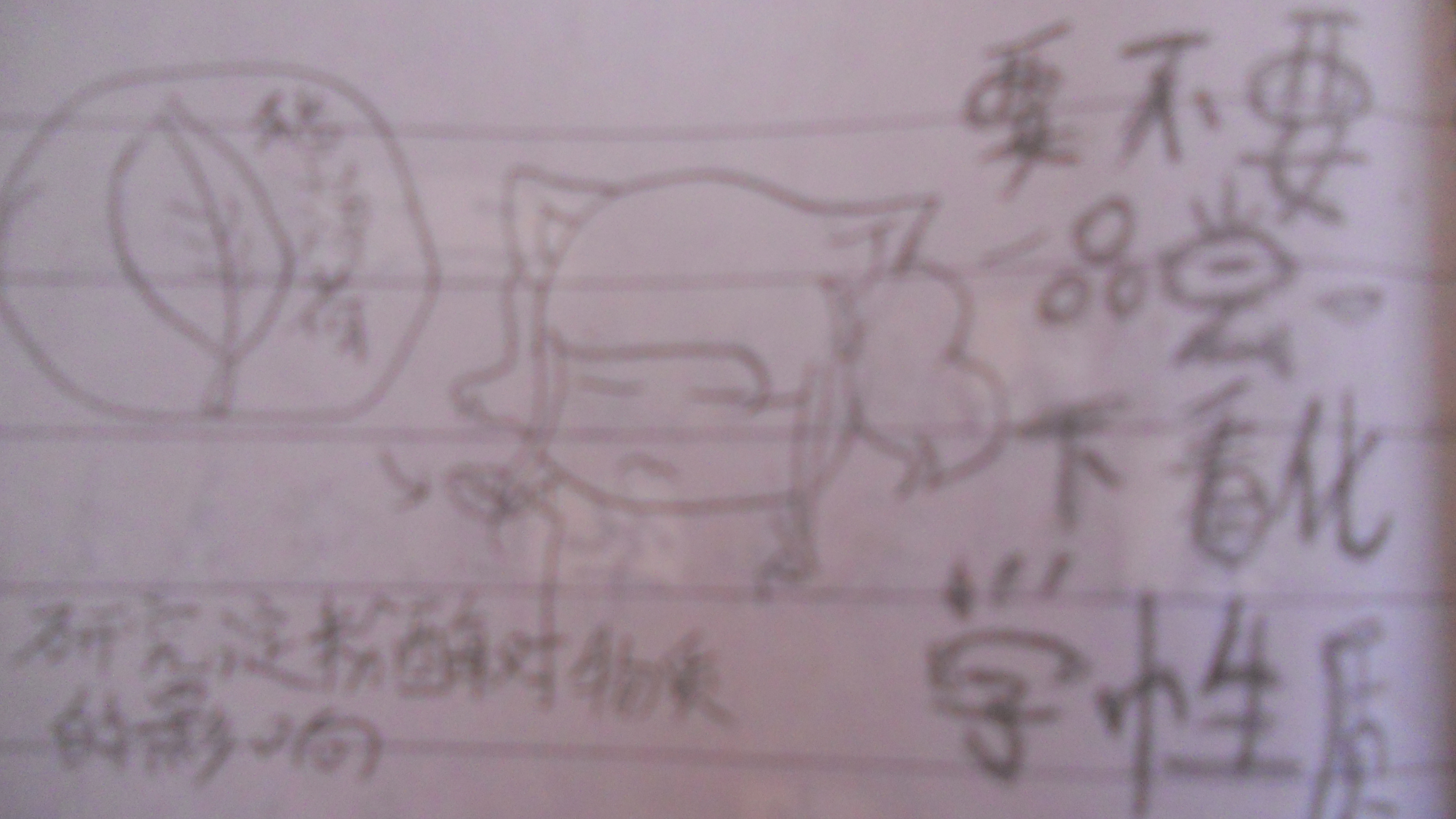 爱 004.jpg