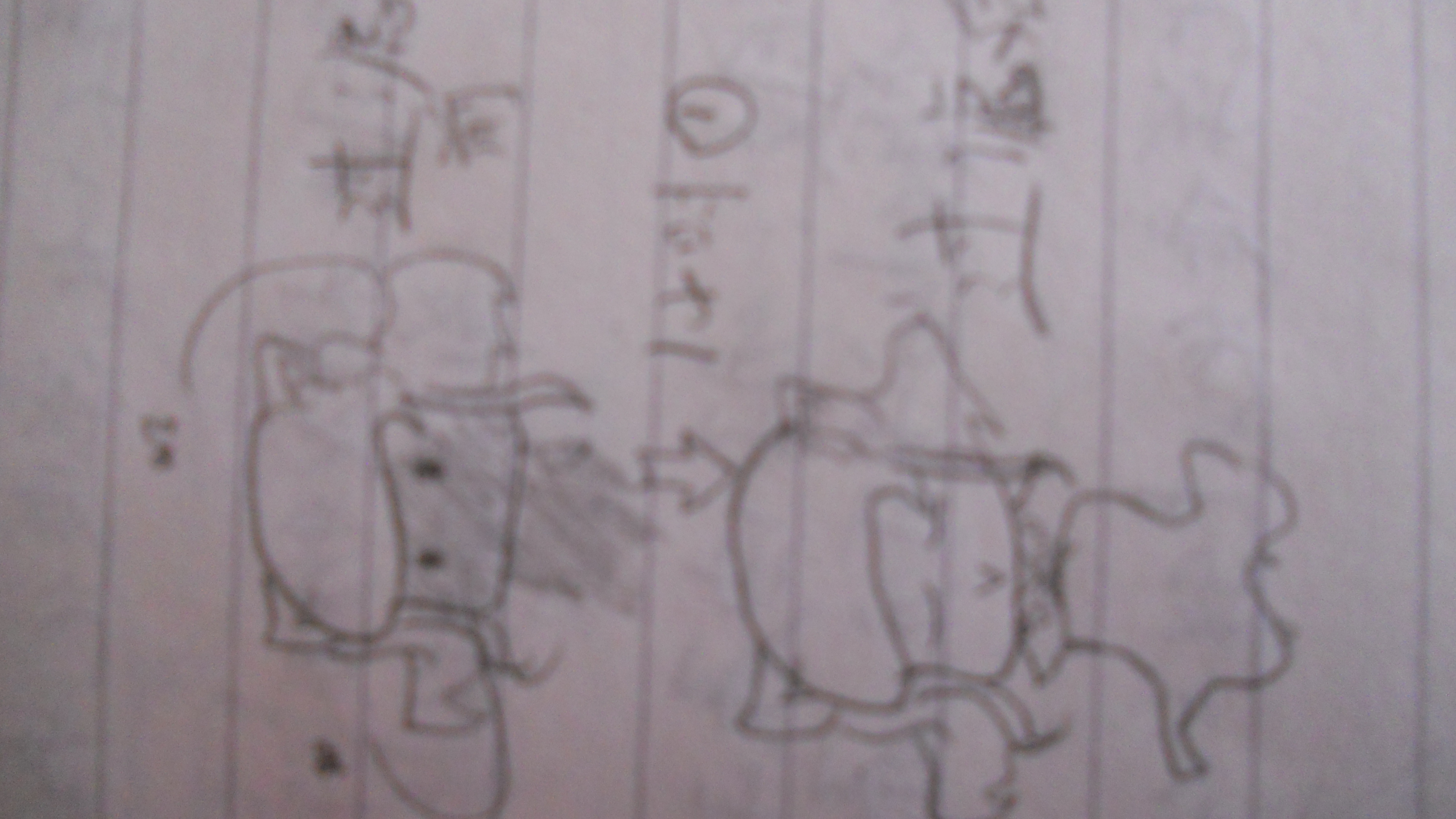 爱 015.jpg