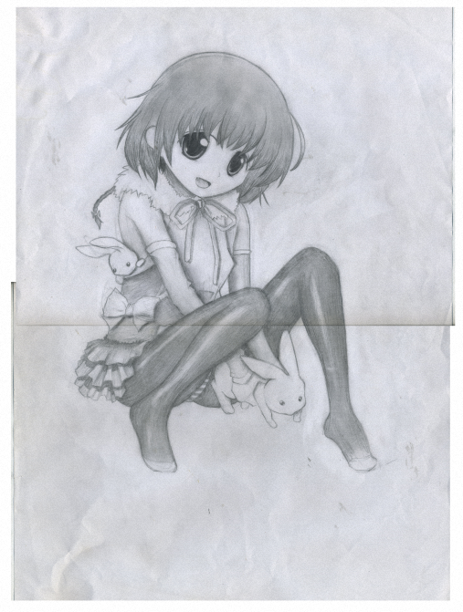 新手菜作