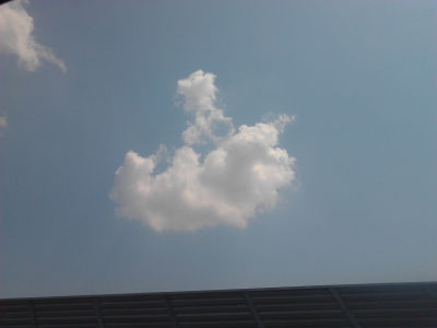 2012-07-15 10.55.33.jpg