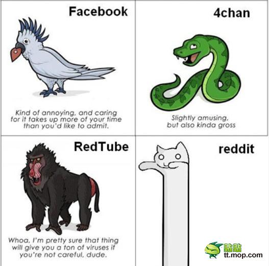 13321528109895928.jpg