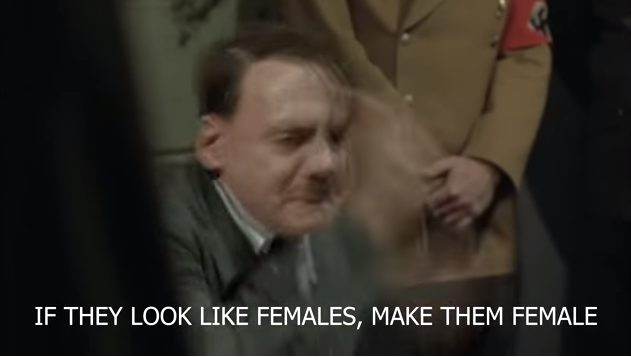 图像 19.png