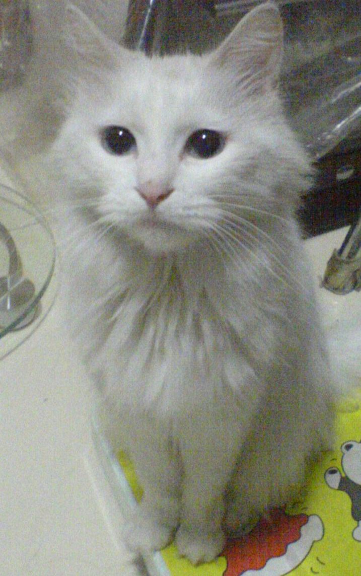 DSC00354.jpg