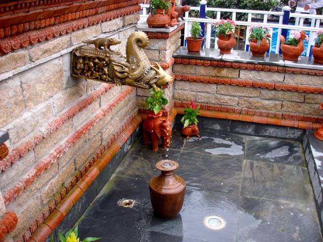DSC02520.jpg