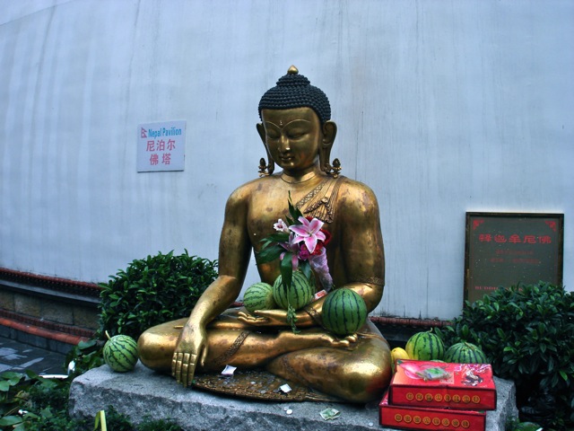DSC02524.jpg