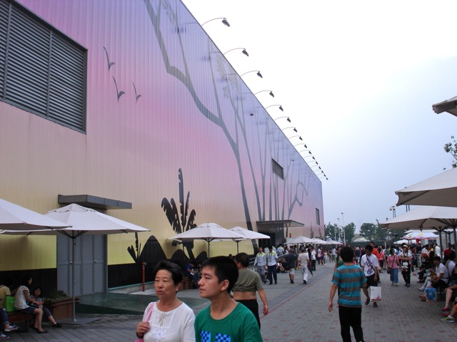 DSC02693.jpg