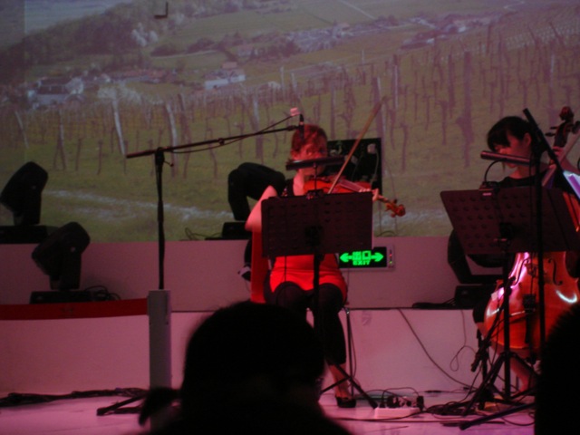 DSC02858.jpg