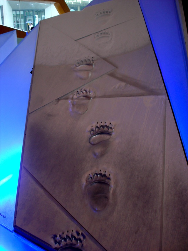 DSC02887.jpg