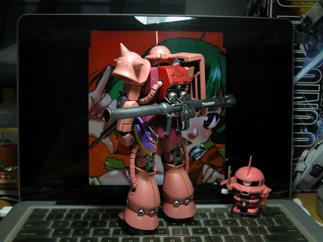 DSCN2488.jpg