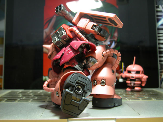 DSCN2502.jpg