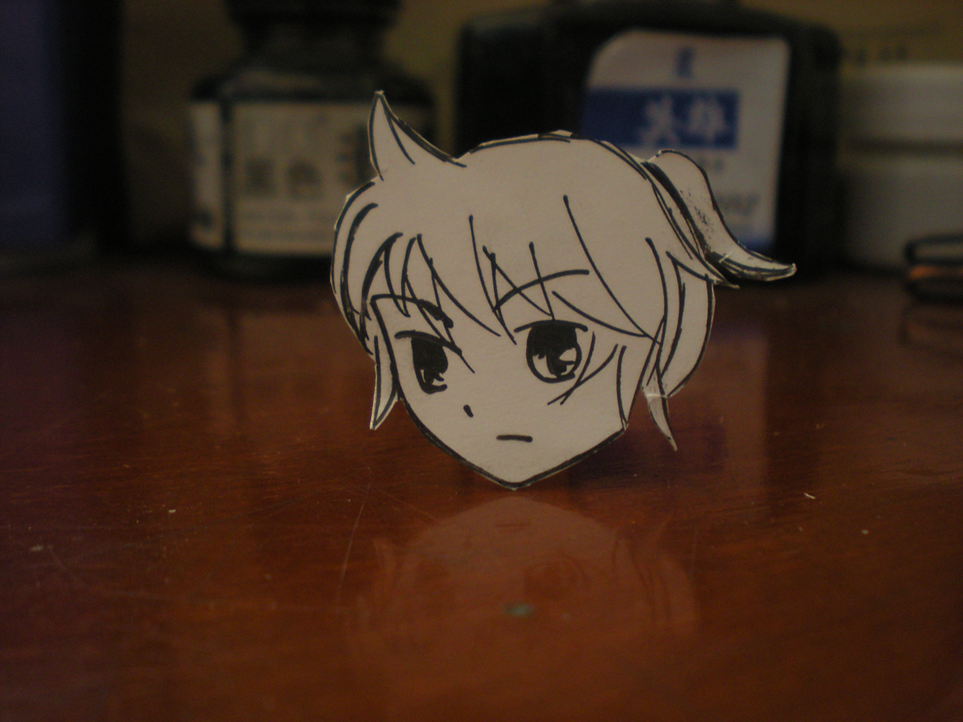 DSCN4806.JPG
