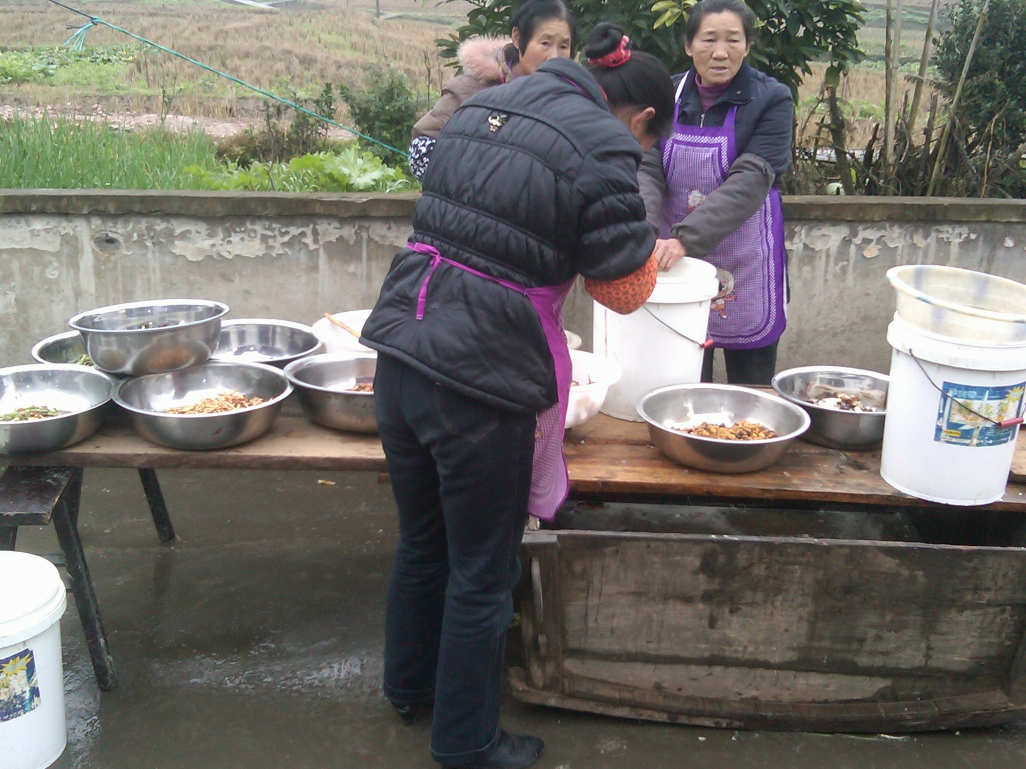 IMG00036-20120104-1218.jpg