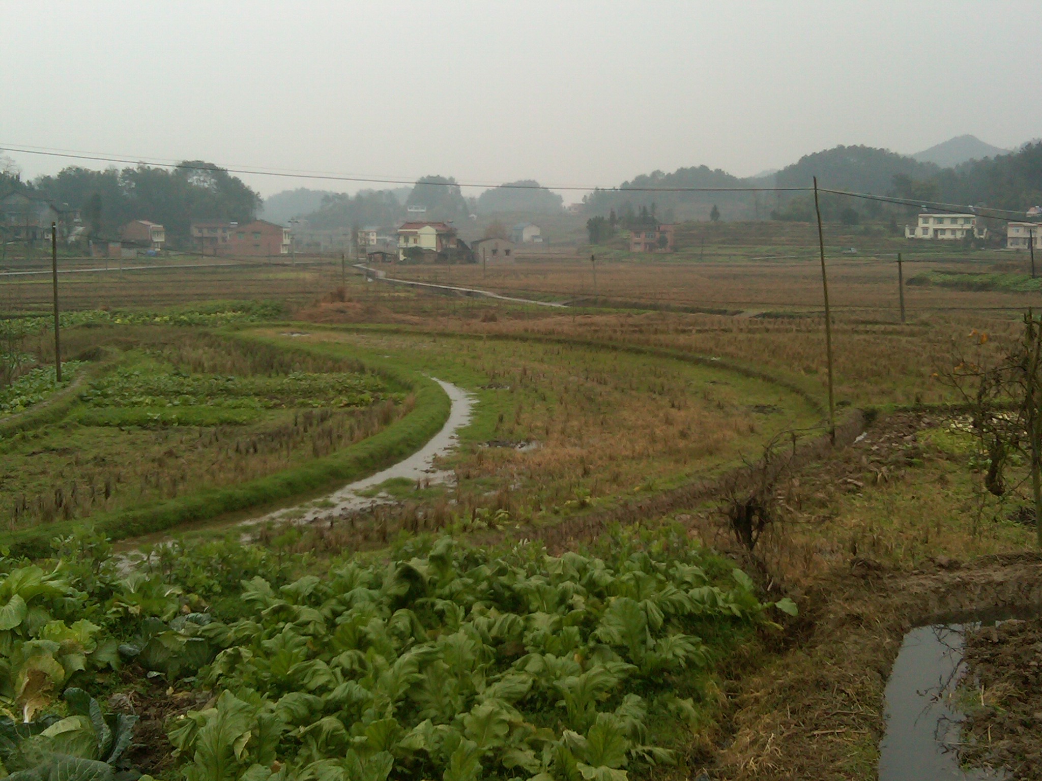 IMG00045-20120104-1252.jpg