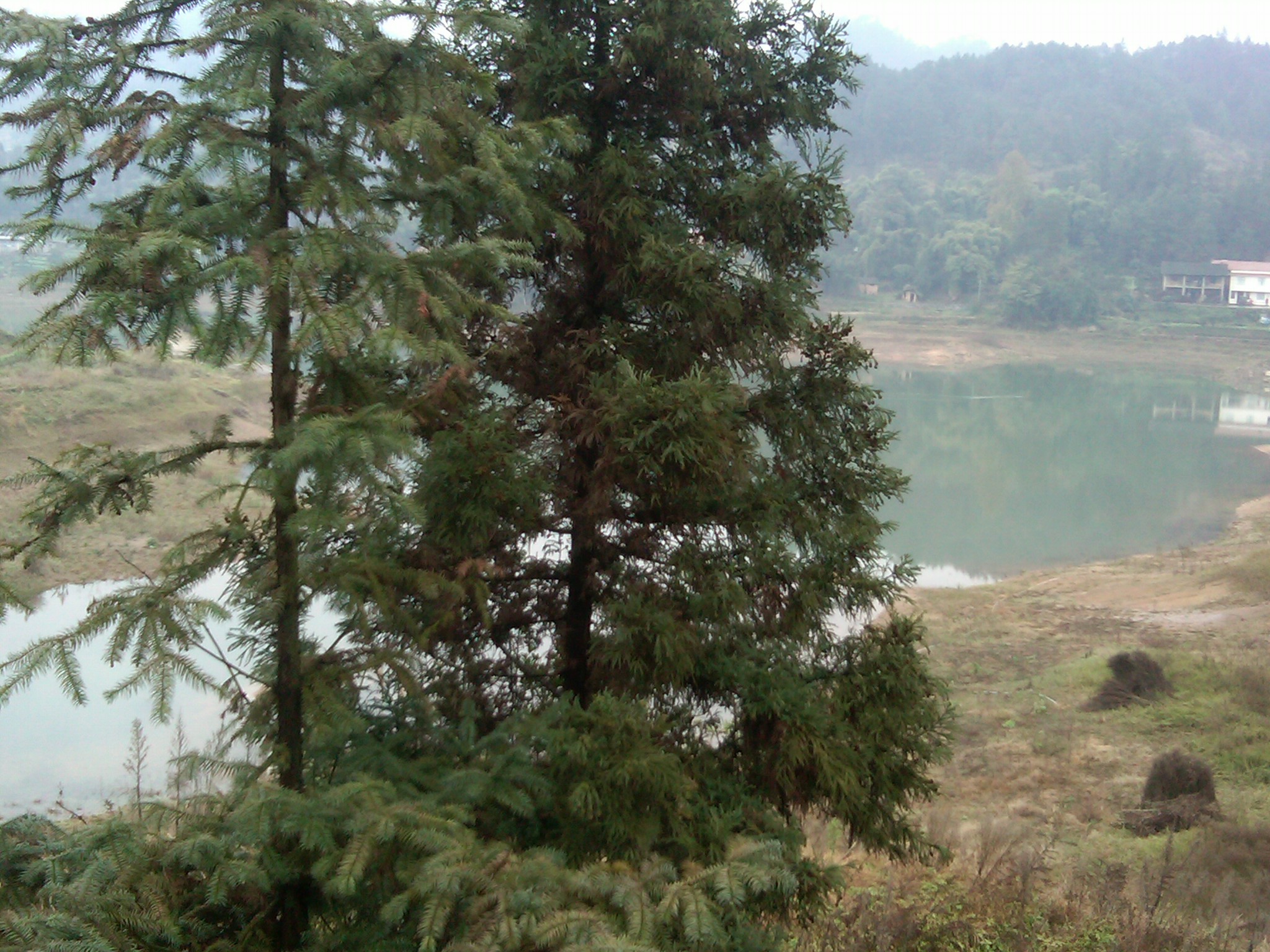 IMG00047-20120104-1309.jpg