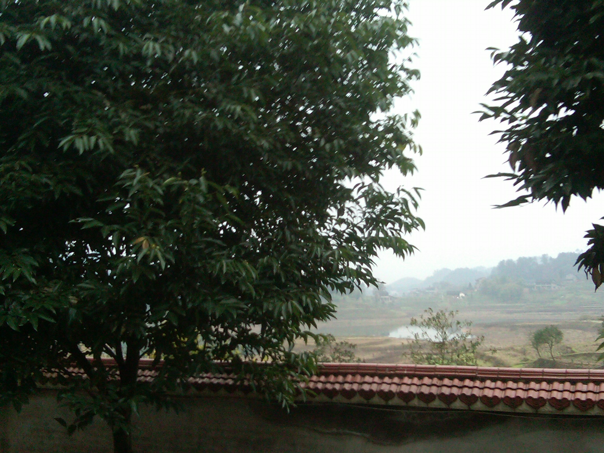 IMG00051-20120104-1326.jpg