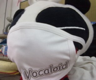 a.jpg