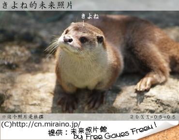 窝不相信这会是窝