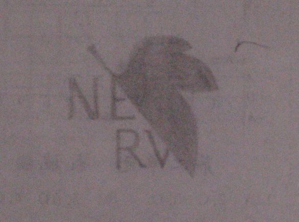 nerv.jpg